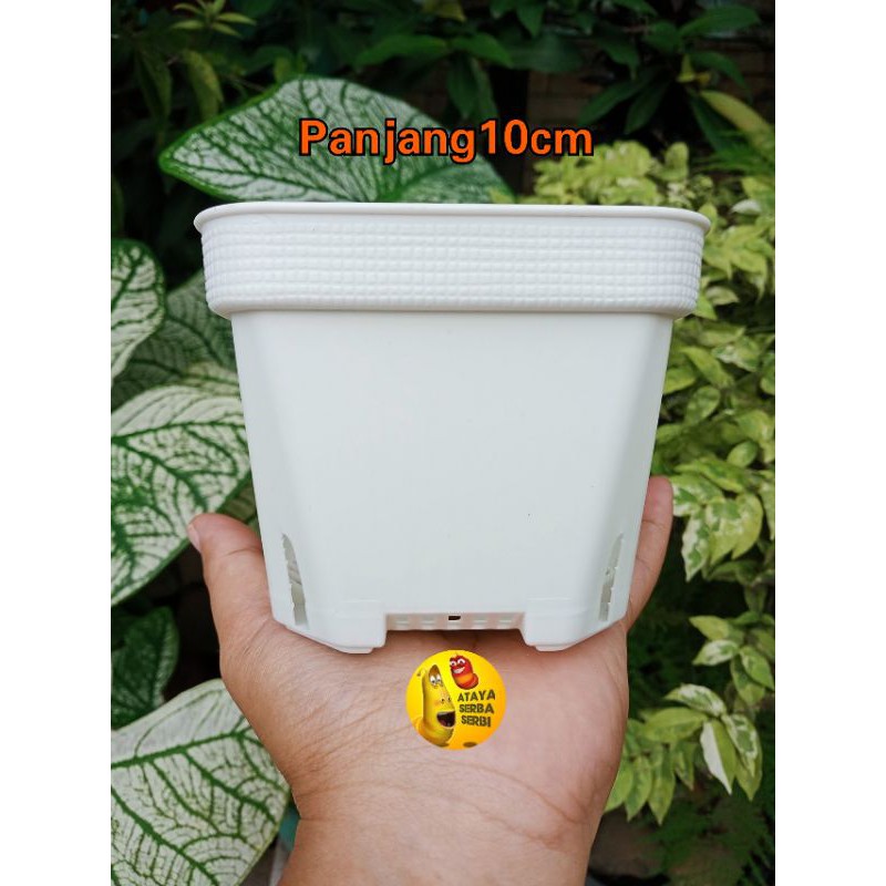 Pot bunga kotak sofi L | Vas bunga hias