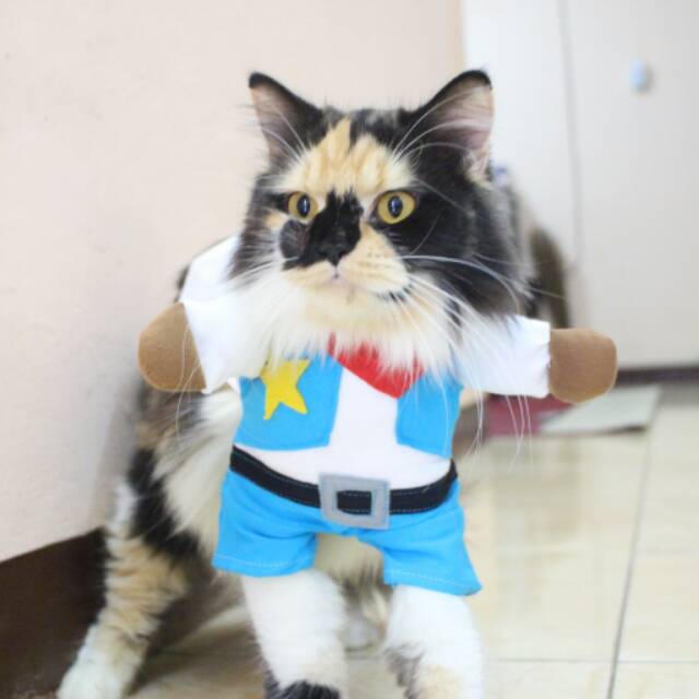 Kostum Koboi untuk kucing &amp; anjing /Jual Baju Kucing Terlengkap &amp; Berkualitas size S-XL