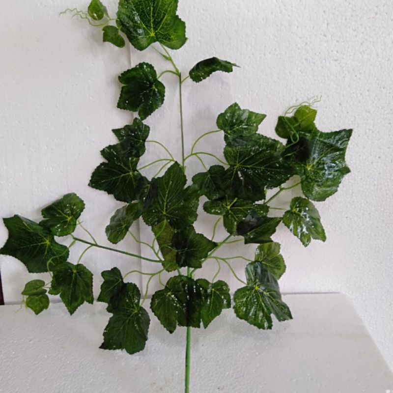 daun anggur dekorasi 1 lusin