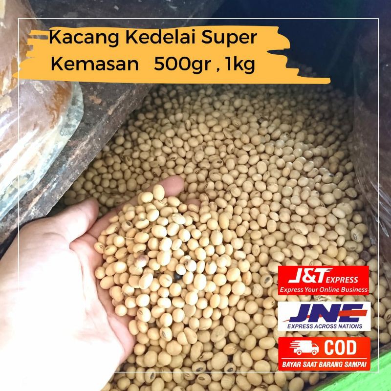 

Kacang Kedelai Organik Mentah Kemasan 250gr Kedelai Super