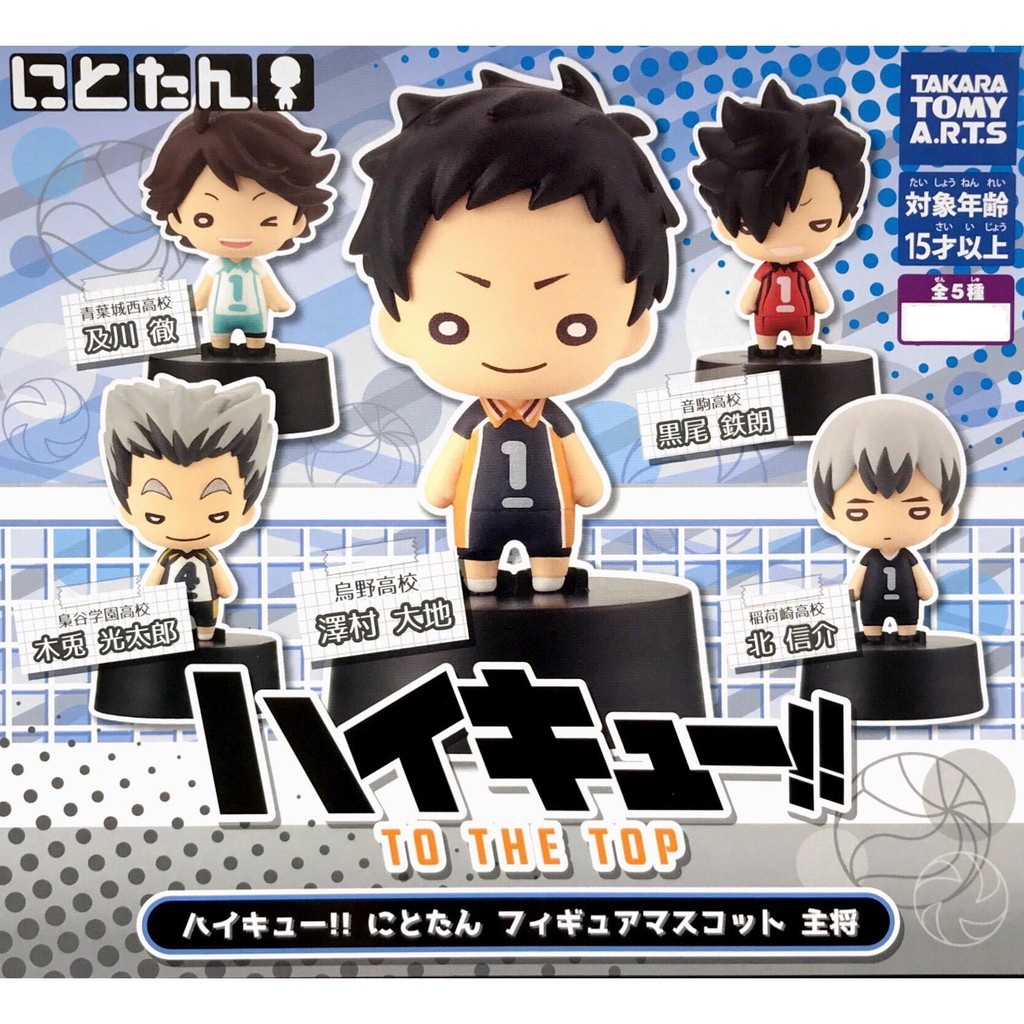 Figure Haikyuu Nitotan Chiby Version set 5 pcs Mascot Captain