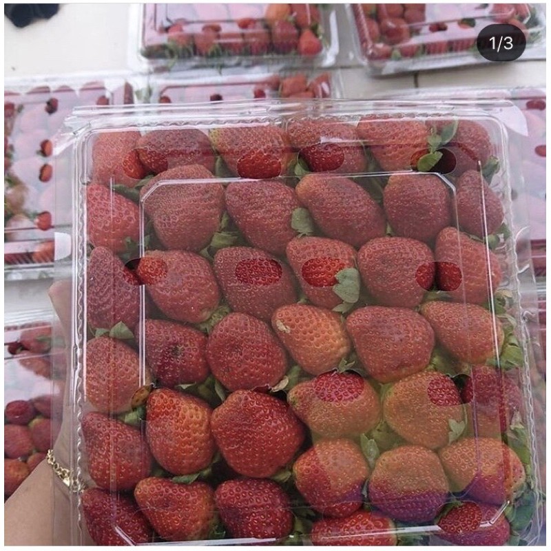 

Strawberry Fresh Kelly Bright