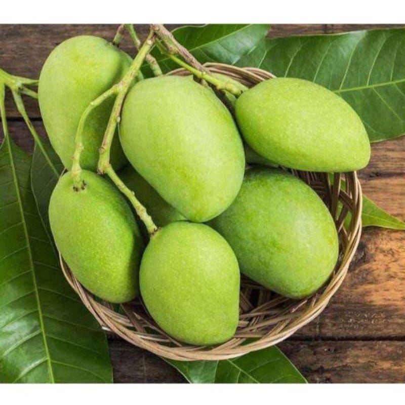 

Mangga Cengkir Muda Cocok Buat Rujak Asinan 1kg