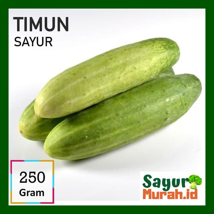 

TIMUN SAYUR [500g]