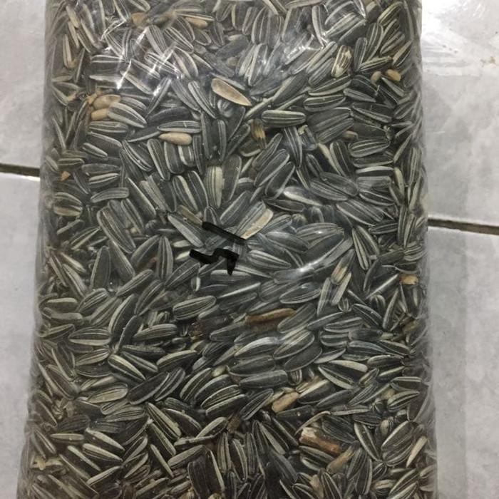 Kuaci Hitam - Kwaci Hitam - Makanan Burung