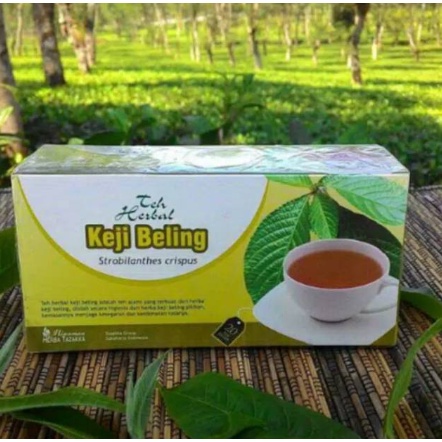 Teh Celup Keji Beling Obat herbl khasiat ampuh mengobati batu ginjal dengan teh keji beling original tazakka berkualitas asli 100% original