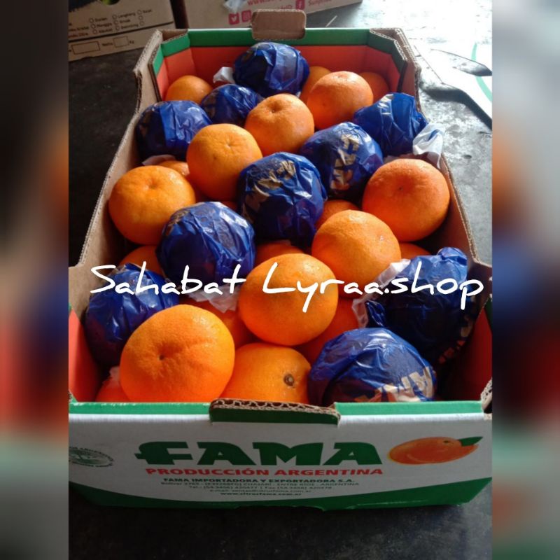 

Buah Import Jeruk Argentina 1 kg | Manis Segar