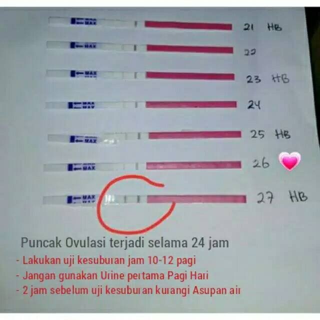 Ovulation Lh Test Strip Tes Ovulasi Ovutest Tes Masa Subur Alat Tes Kesuburan Alat Test Promil Shopee Indonesia