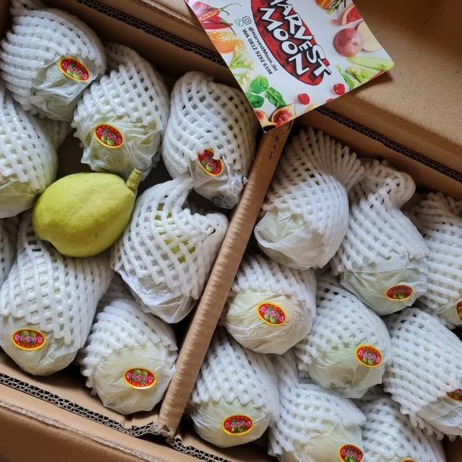 Jual Harvestmoon Buah Pear Xiang Lie Per Dus Terbaru Shopee Indonesia 