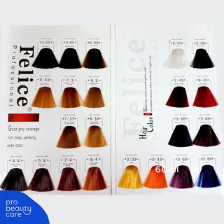 Felice Professional Hair Color 60 ml Cat Rambut Felice Professional Hair Color 60 ml Cat Rambut