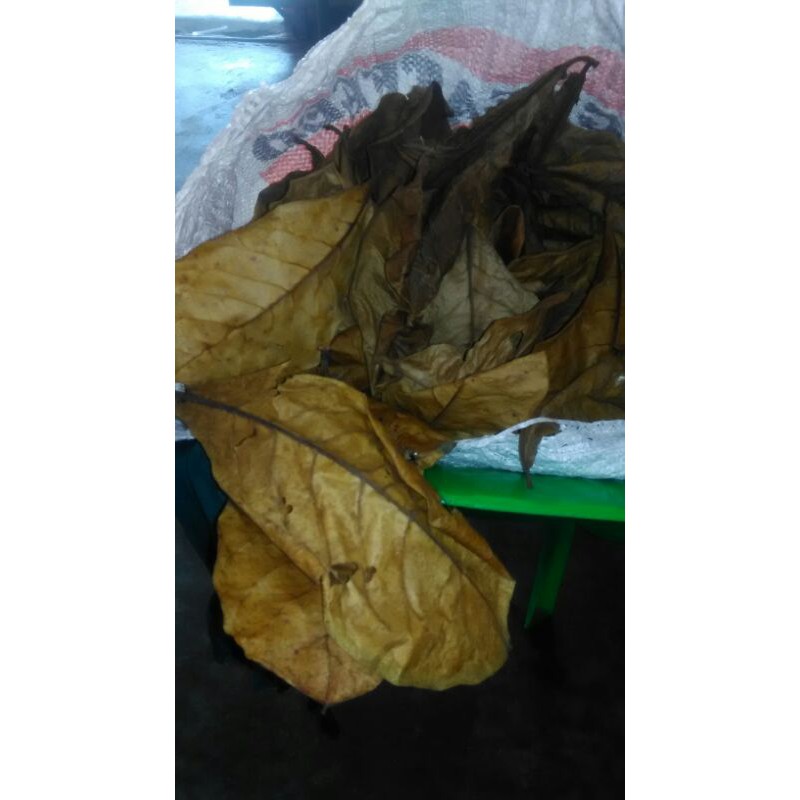 

Daun ketapang laut olahan 1kg