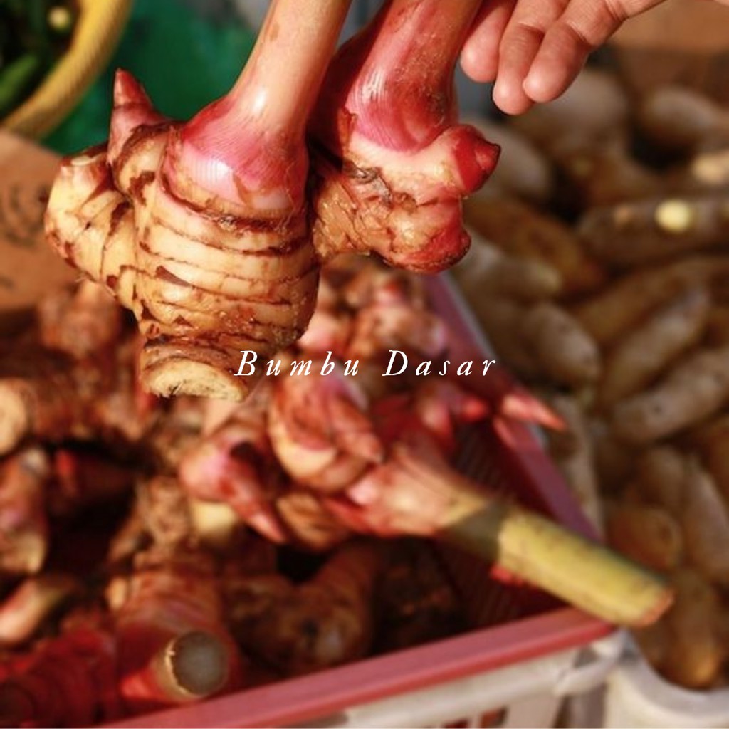 

Bumbu Dasar - Lengkuas Segar 100 Gr
