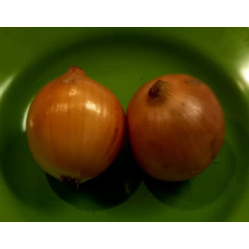 

bawang bombay