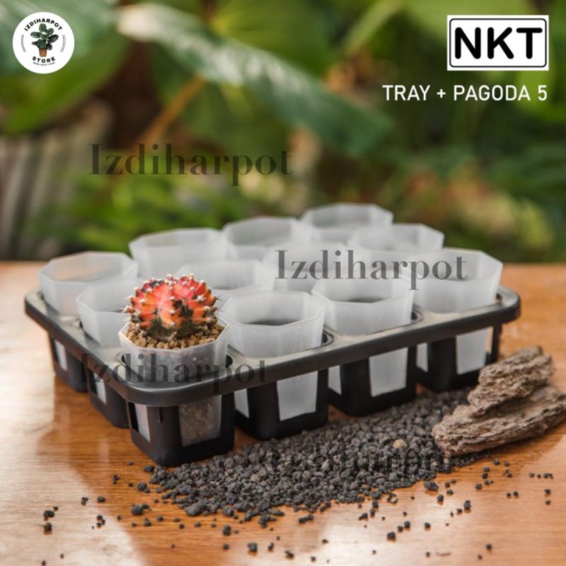 1 set tray + POT NKT PAGODA 5CM BENING TRANSPARAN | tray semai bibit