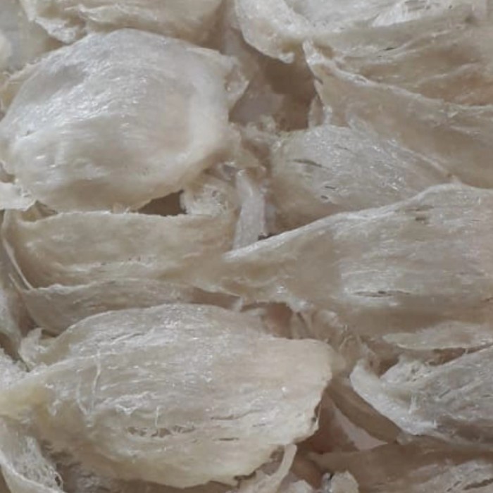 

Sarang burung walet Export Quality (50gram)Gantiao