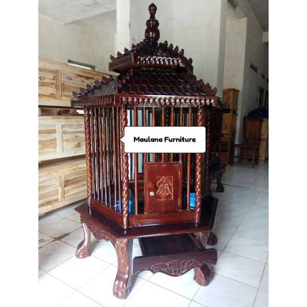 kandang ayam pelung Maulana