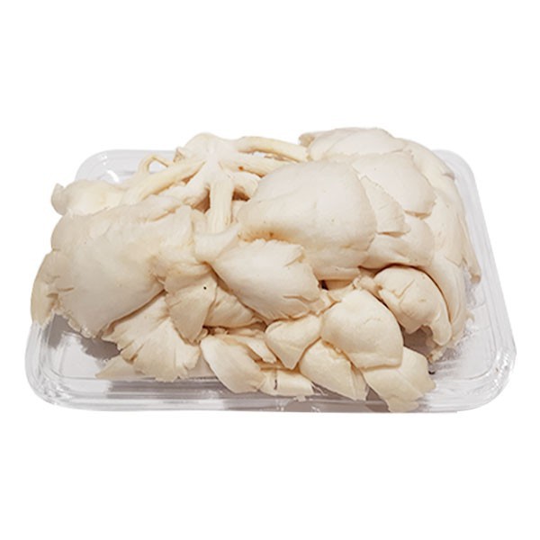 

Jamur Tiram Pack 100 Gr
