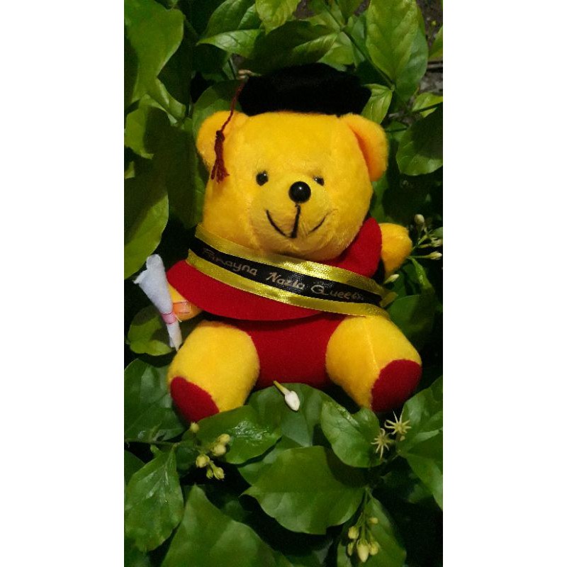 Boneka wisuda / Boneka wisuda lucu / boneka wisuda selempang / buket boneka wisuda