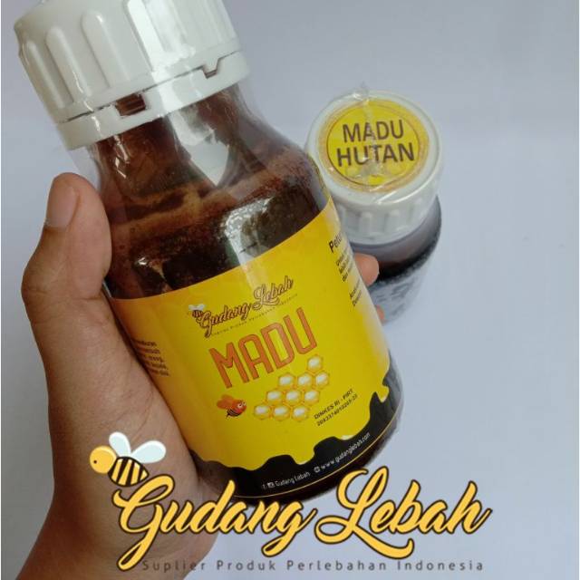 

Madu Hutan Murah 350 gr banyak manfaatnya