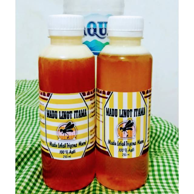 

Madu Lebah Alami | Asli 100% Madu Kelulut ukuran 250 ml