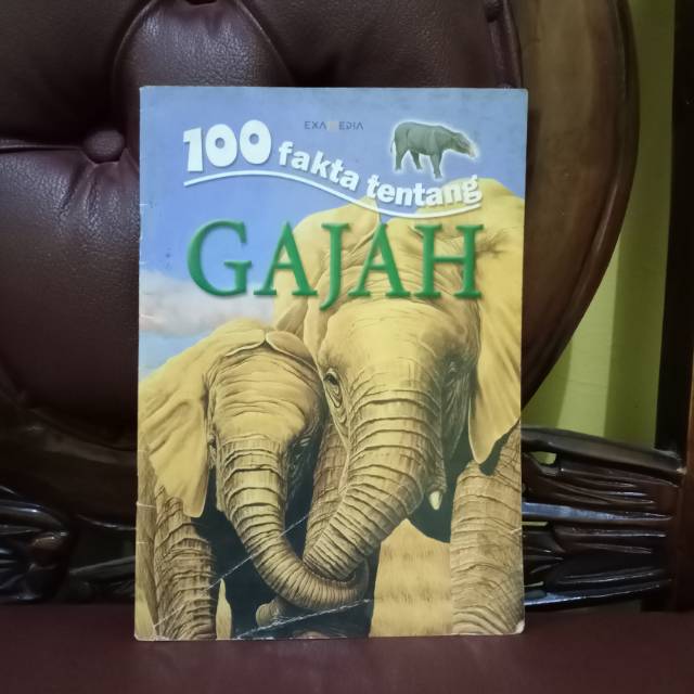 100 Fakta Tentang Gajah