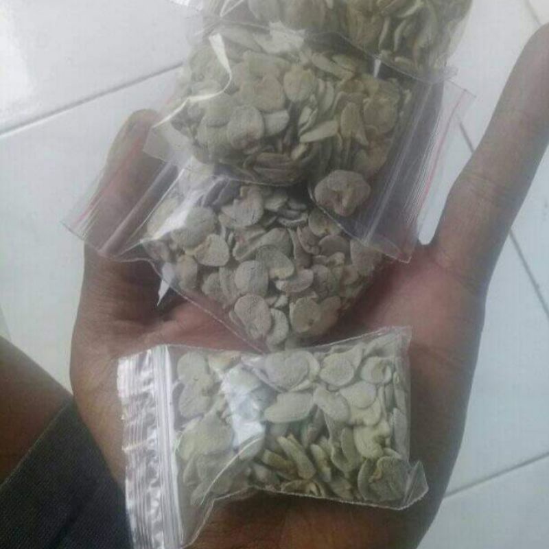

Herbal Isi 100 Butir Biji Daruju - Biji Jeruju