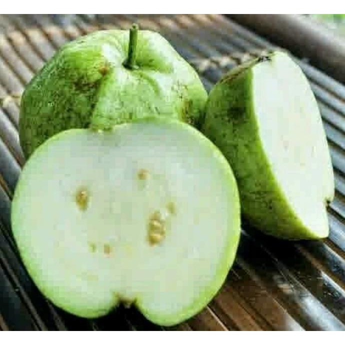 pkl Promo Bibit Jambu Kristal Putih Tanpa Biji 50 cm bibit / biji / benih