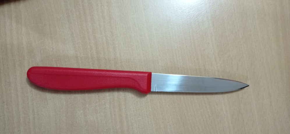 Pisau Dapur Pemotong Buah Sayur Stainless / Pisau Pengupas Buah Sayuran