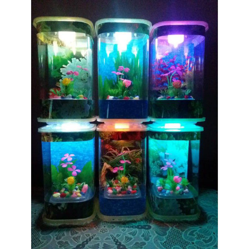 7000 Koleksi Dekorasi Aquarium Lucu Terbaik