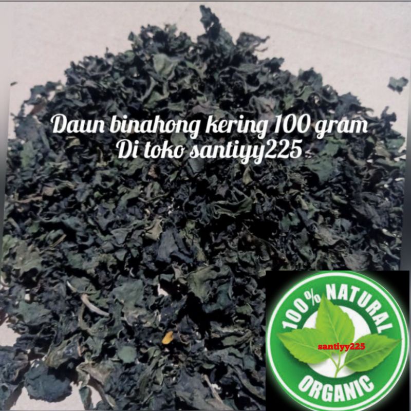 daun binahong kering 100 gram