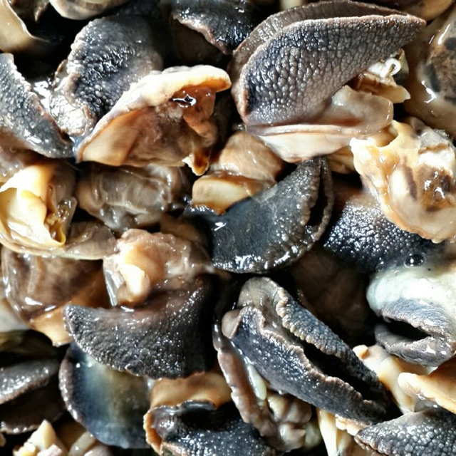 Daging bekicot  fresh