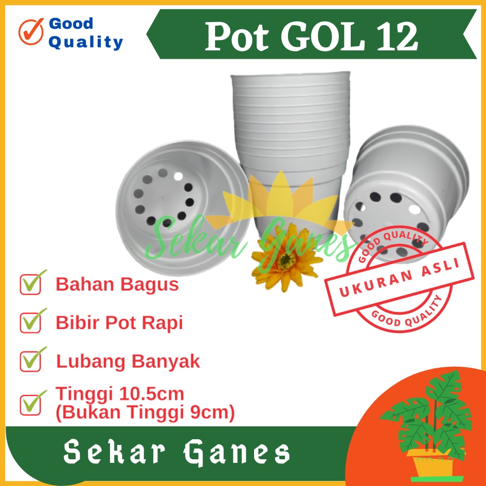 Pot 12 Putih Polos - Pot 12 Cm Putih Kecil Mini Minimalis Plastik Kaktus Sukulen Mini Murah Pot Bibit Pembibitan