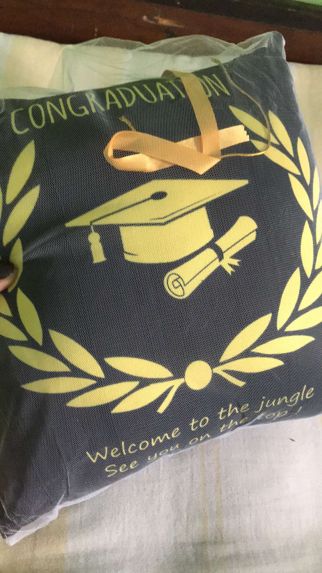 Bantal Hadiah Kado Wisuda Ready 30x30