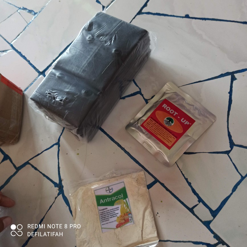 Polybag Hitam Untuk Tanaman Berbagai Ukuran Tersedia
