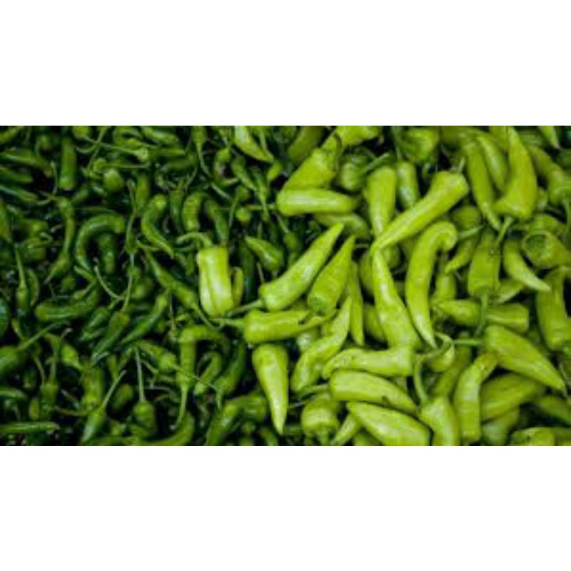 

cabe rawit hijau 1kg sudah petik dan belom petik