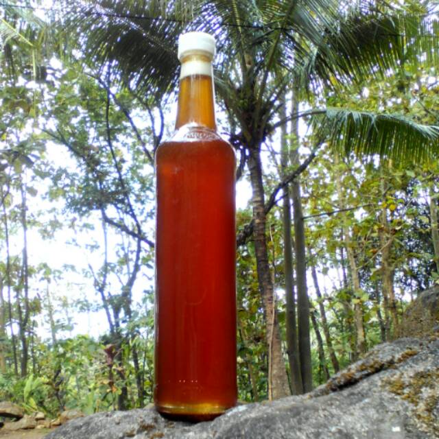 

Madu Jawa (Lebah liar)