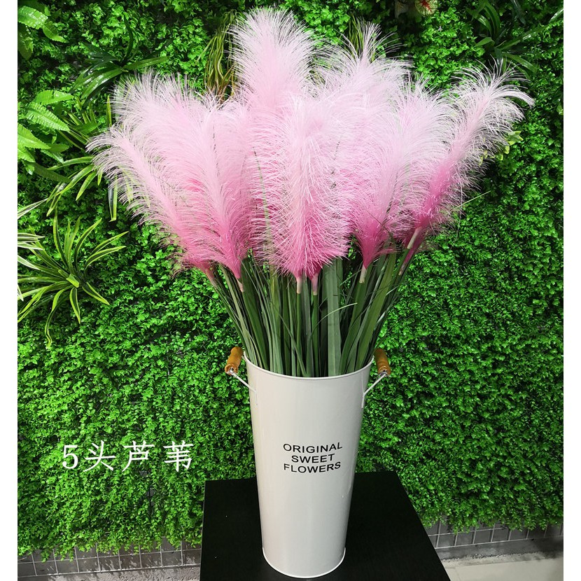 Simulasi Tanaman Bunga Ekor Anjing Reed Untuk Dekorasi Shopee