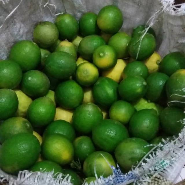 

Lemon Buah seger