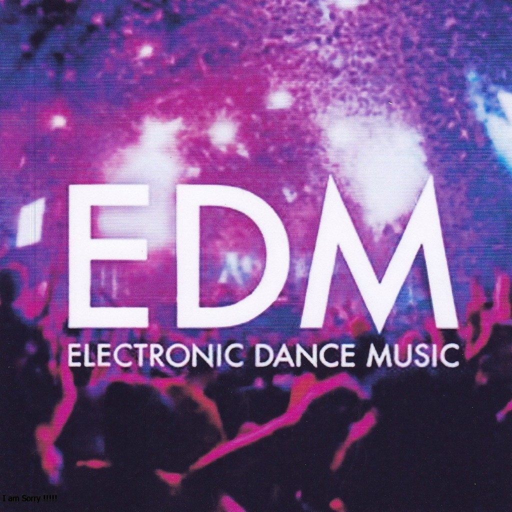 CD MUSIC EDM  ELECTRONIC DANCE MUSIC UNGU