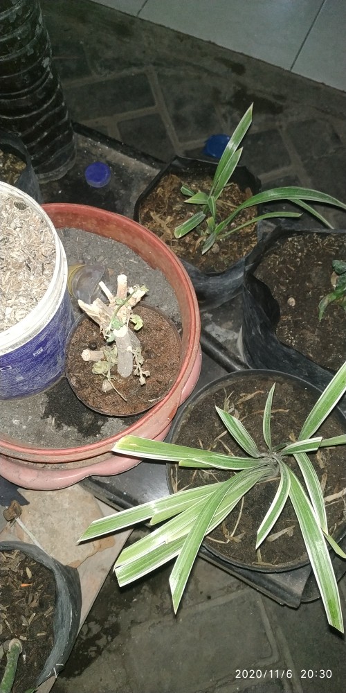 Rak Tas Gantung Mika Tebal  0,20