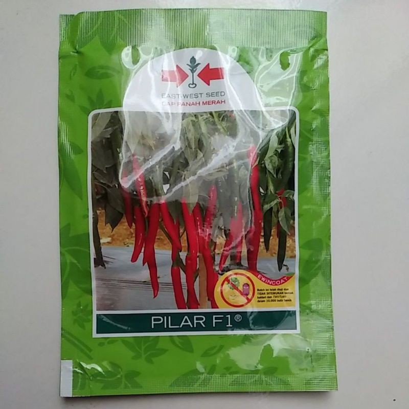 BENIH CABE PILAR F1, cabai merah besar jumbo @10gr
