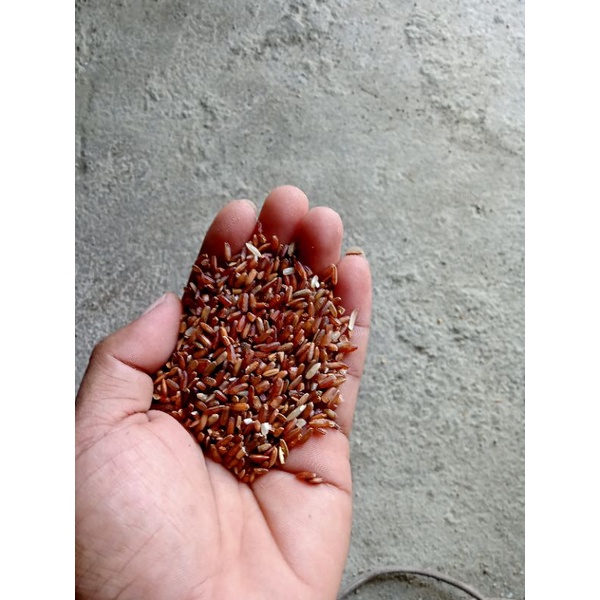 

beras merah wangi