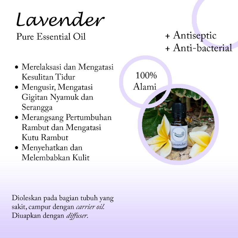 "Akicchena Lavender Pure Essential Oil" Minyak Aromaterapi/Aromatherapy Lavender Essential Oil