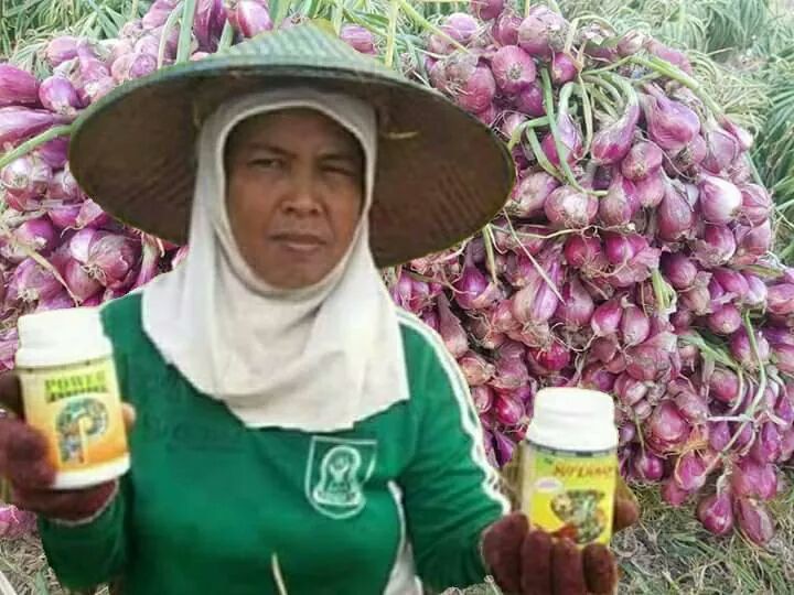 Rosita Panci Susu Stainless Steel Gagang 17cm