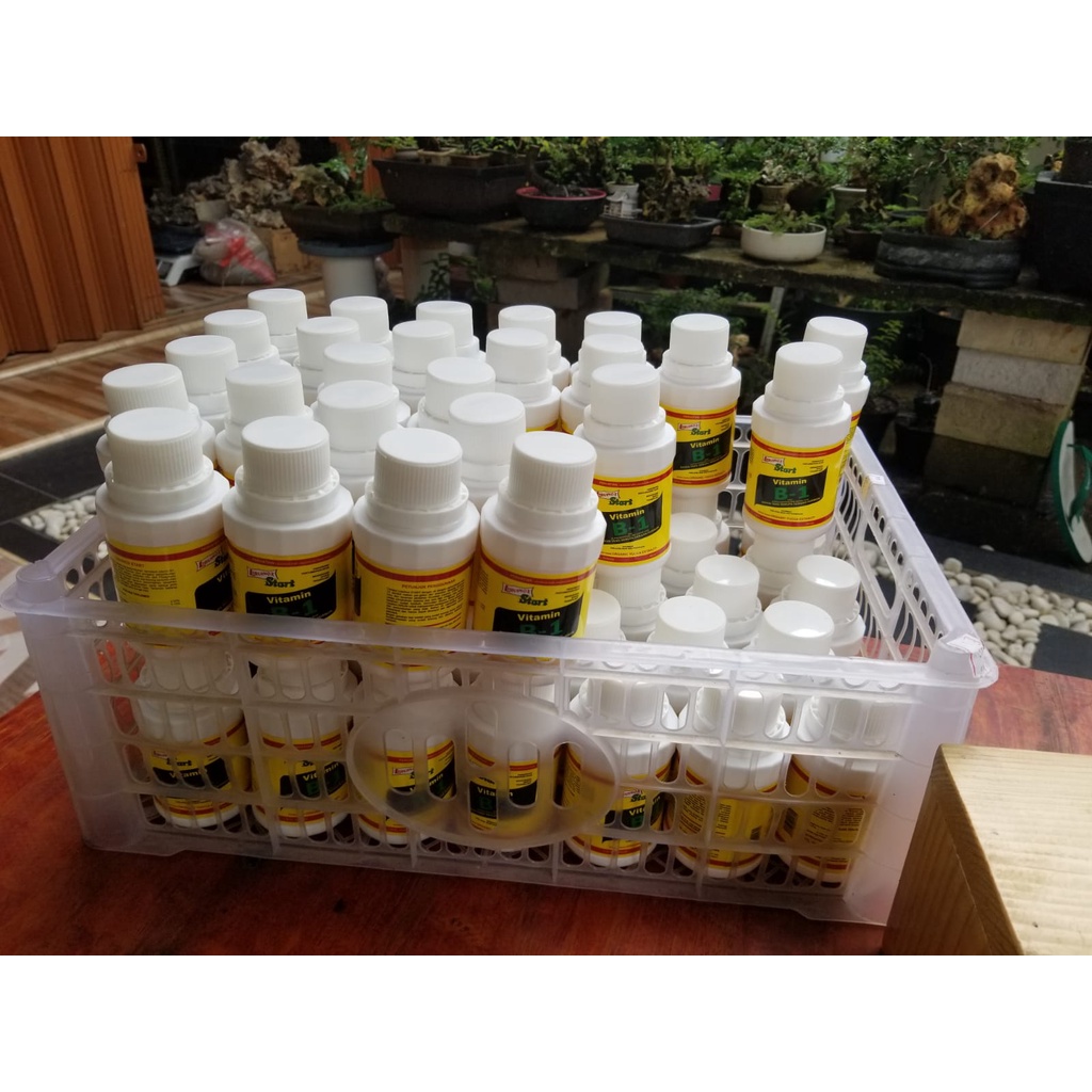 Pupuk Liquinox vitamin B1 tanaman obat anti stres 100ml