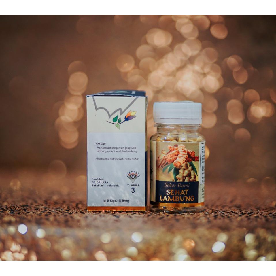 Sehat Lambung
