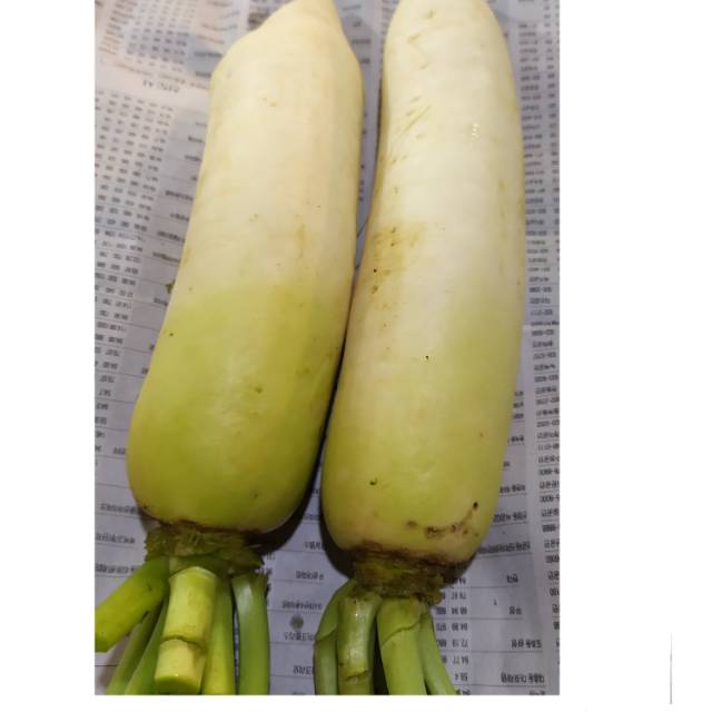 

Lobak putih/500 gram