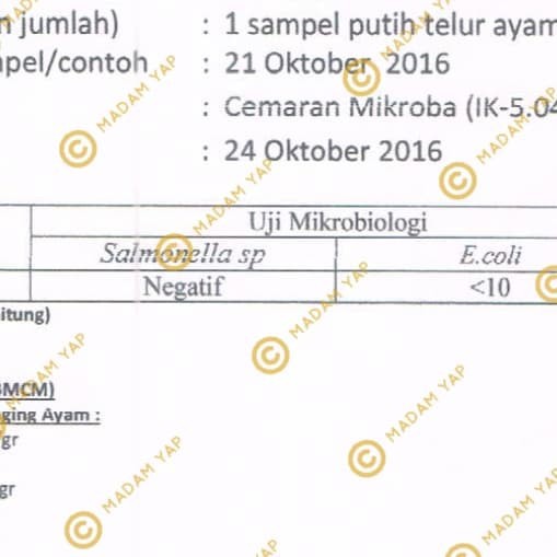 TELUR PUTIH CAIR 1 LITER PROTEIN DRINK MINUMAN SEHAT PASTEURISASI LIQUID EGG WHITE 1 L READY DRINK