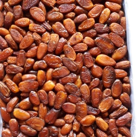 

PROMO kurma tunisia madu Kemasan 1kg/Tunis madu/kurma madu original/KURMA 1KG/KURMA BARARI/KURMA RUTHOB/KURMA BAM/KURMA PALM FRUIT/KURMA TANGKAI/KURMA AZWA/KURMA SUKKARI/KURMA SAFAWI/KURMA TUNISIA/KURMA MUDA KUNING/KURMA MUDA HIJAU/KURMA MEDJOL/KURMA