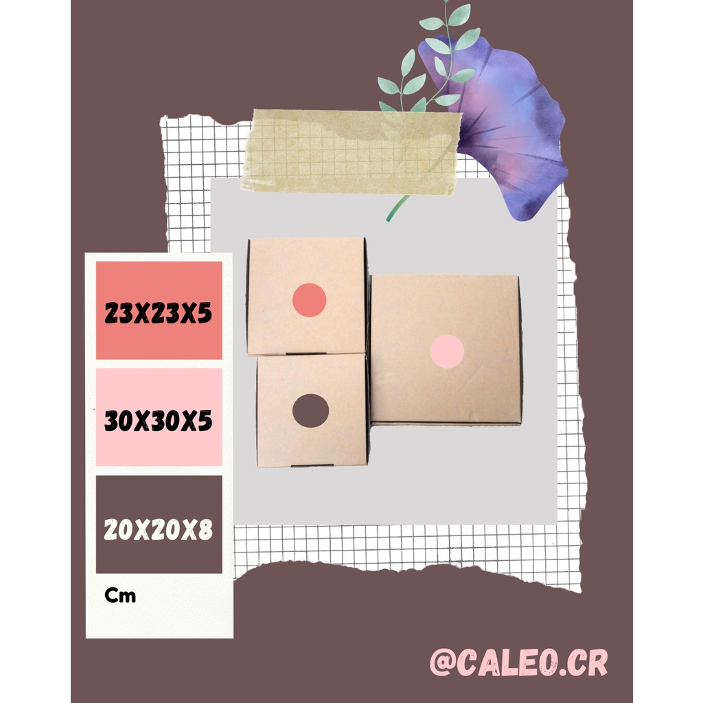 

Kardus Die Cut Palembang Murah 23x23x5 cm Aesthetic Pizza